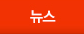 뉴스
