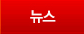 뉴스